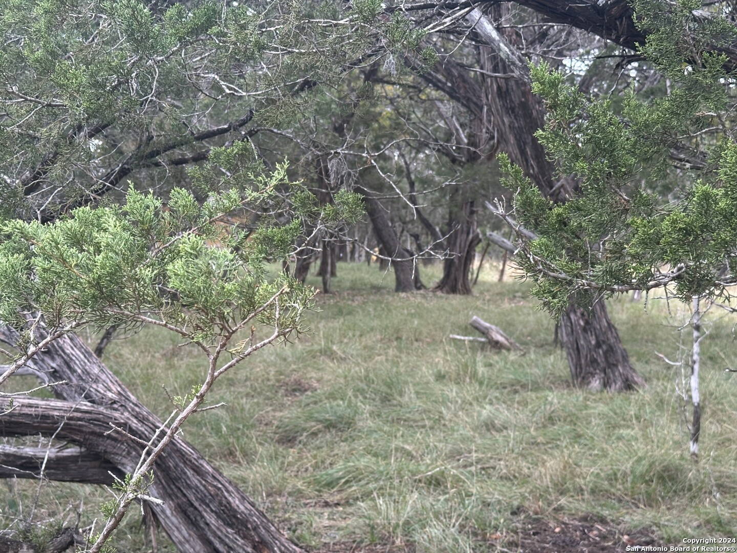 LOTS 1-3 Indian Trail