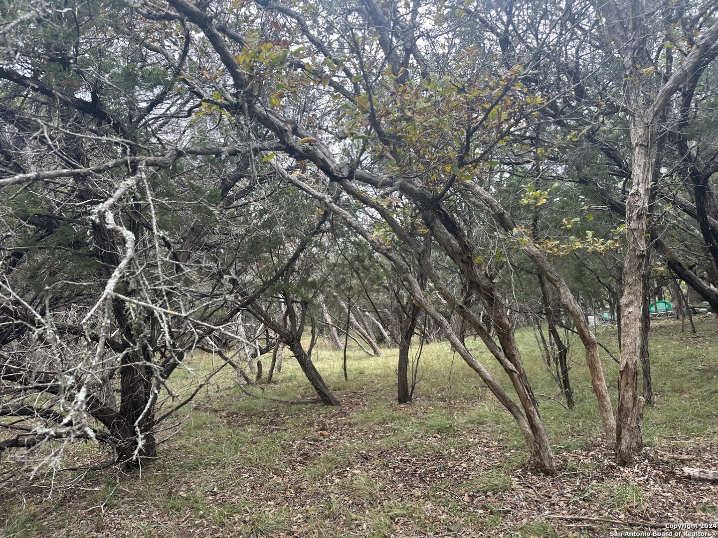 LOTS 1-3 Indian Trail