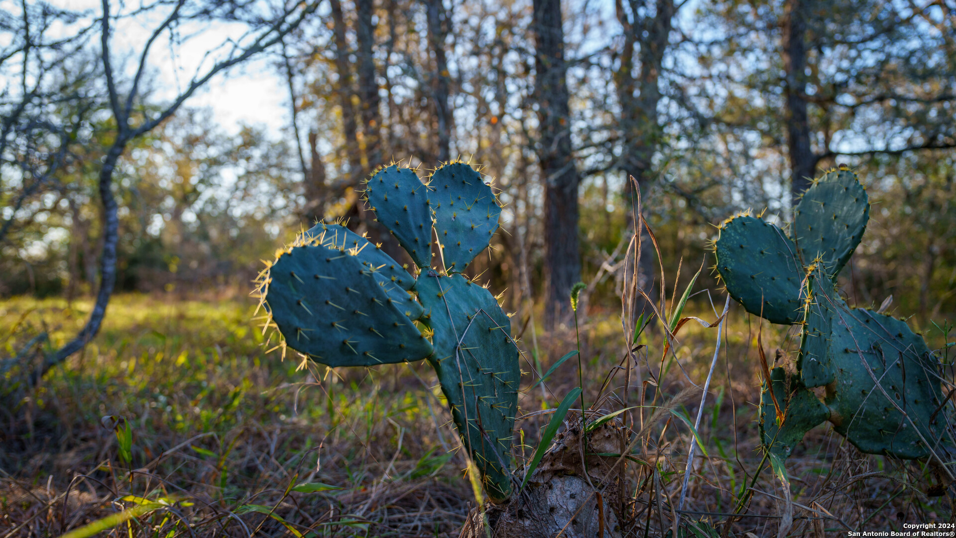 23 +/- ACRES FM 532