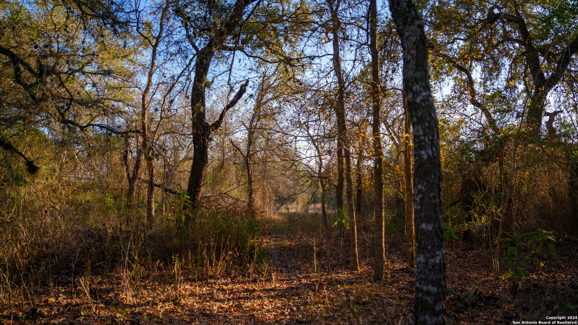 23 +/- ACRES FM 532