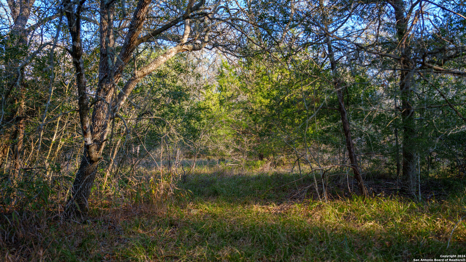 23 +/- ACRES FM 532