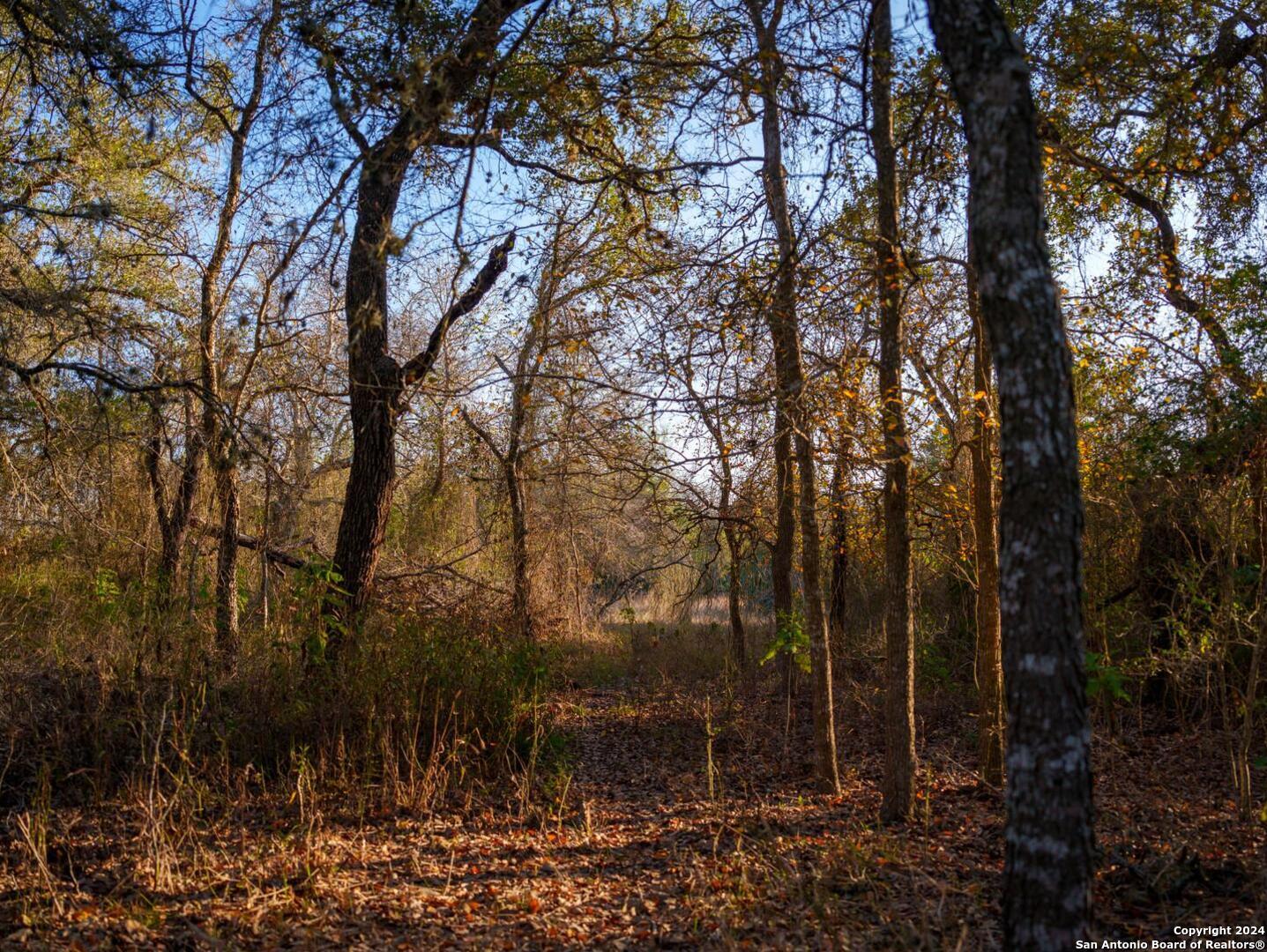 23 +/- ACRES FM 532