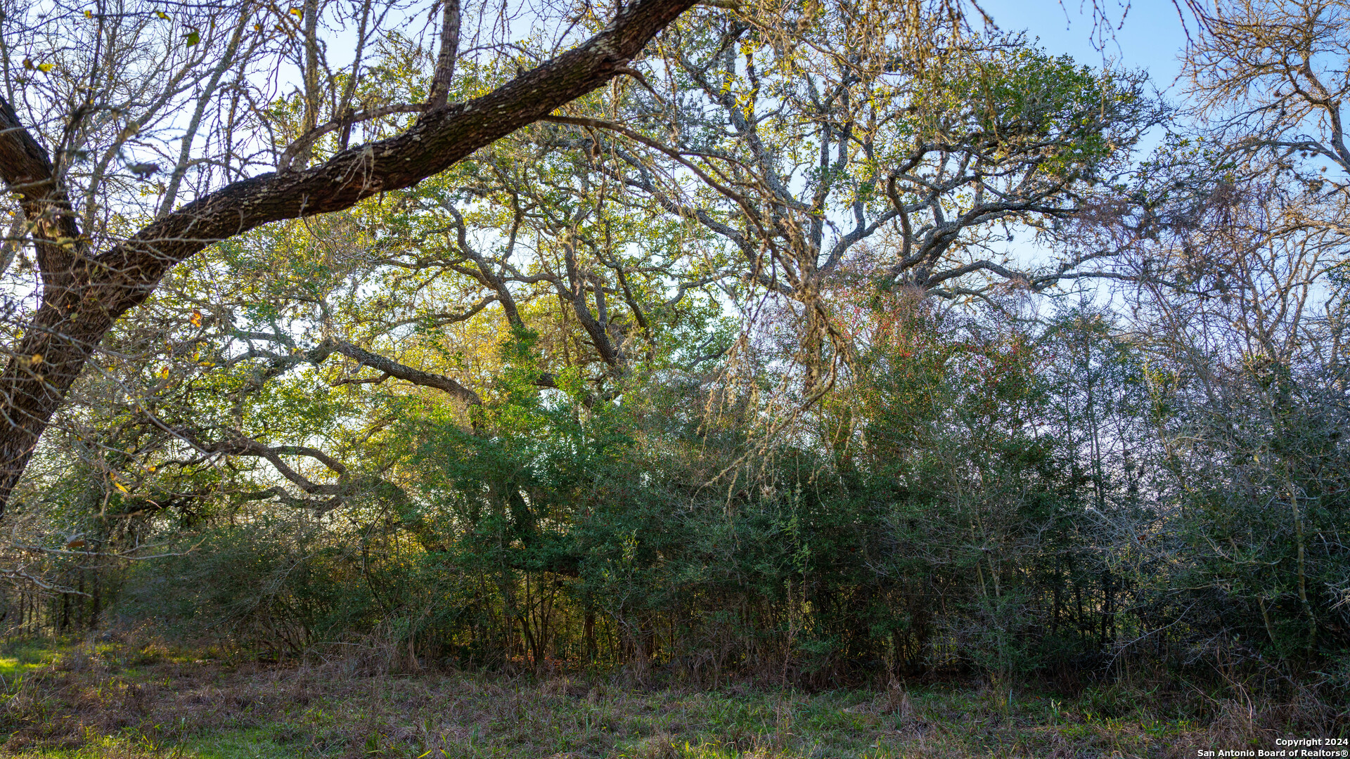 23 +/- ACRES FM 532