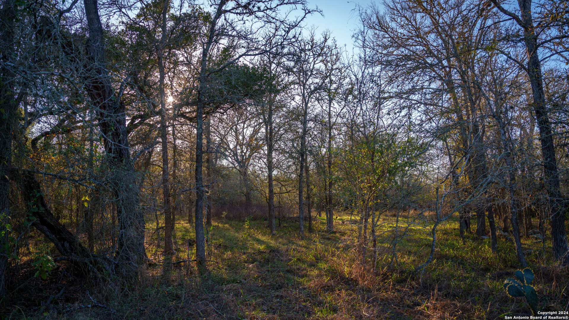23 +/- ACRES FM 532