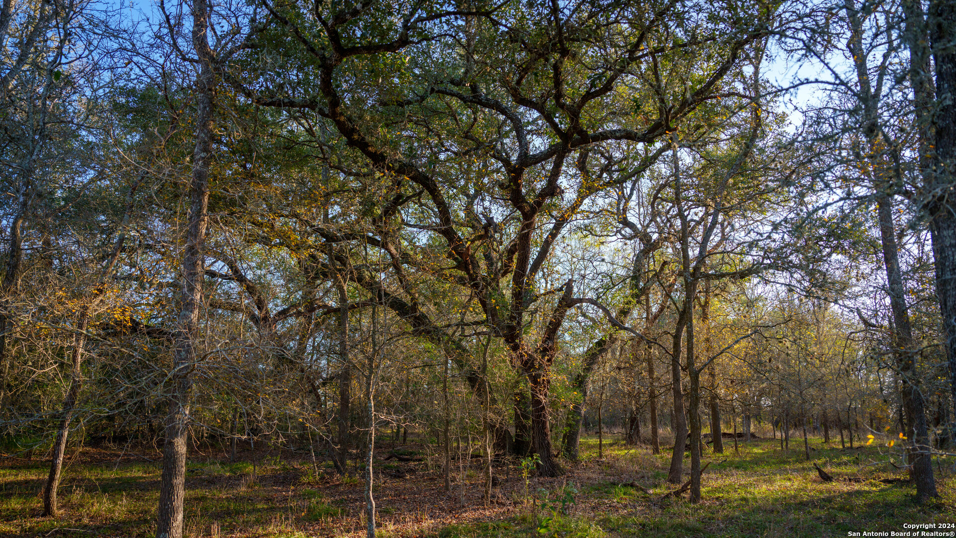 23 +/- ACRES FM 532