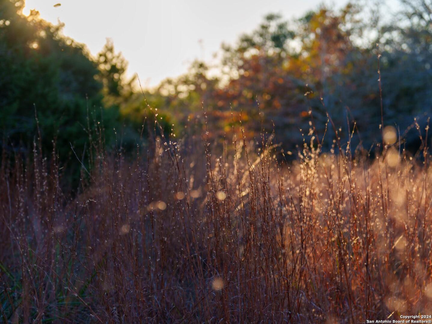 23 +/- ACRES FM 532