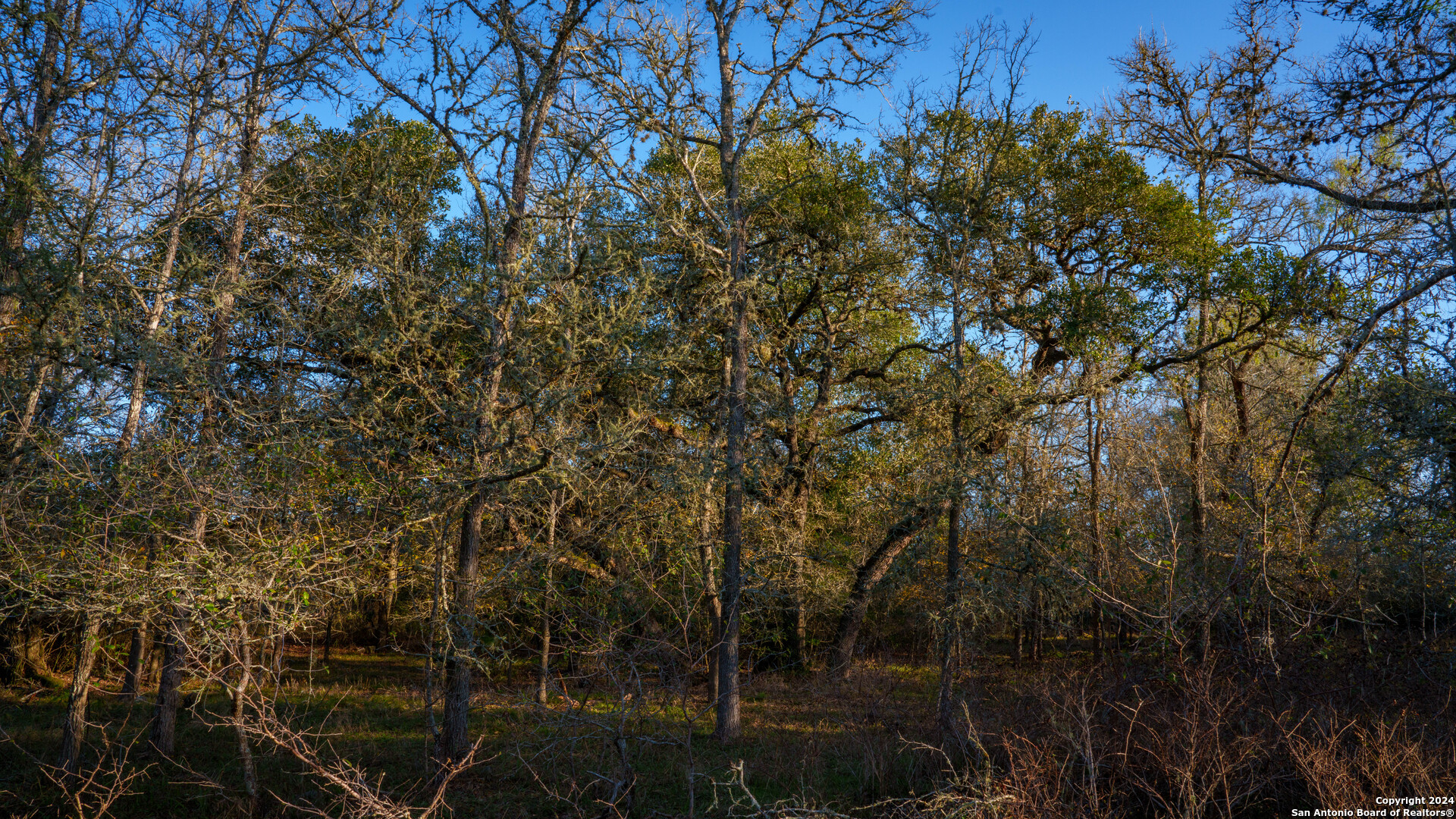 23 +/- ACRES FM 532