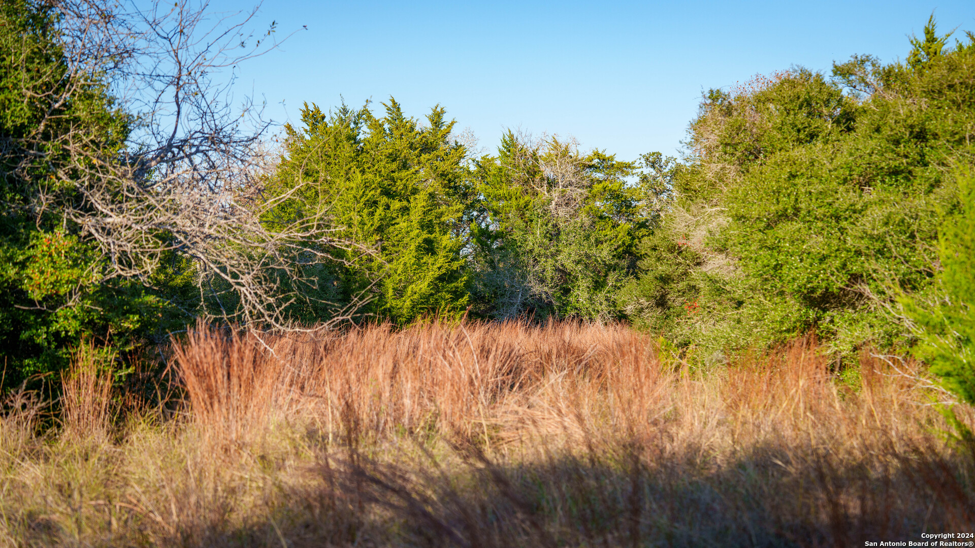23 +/- ACRES FM 532