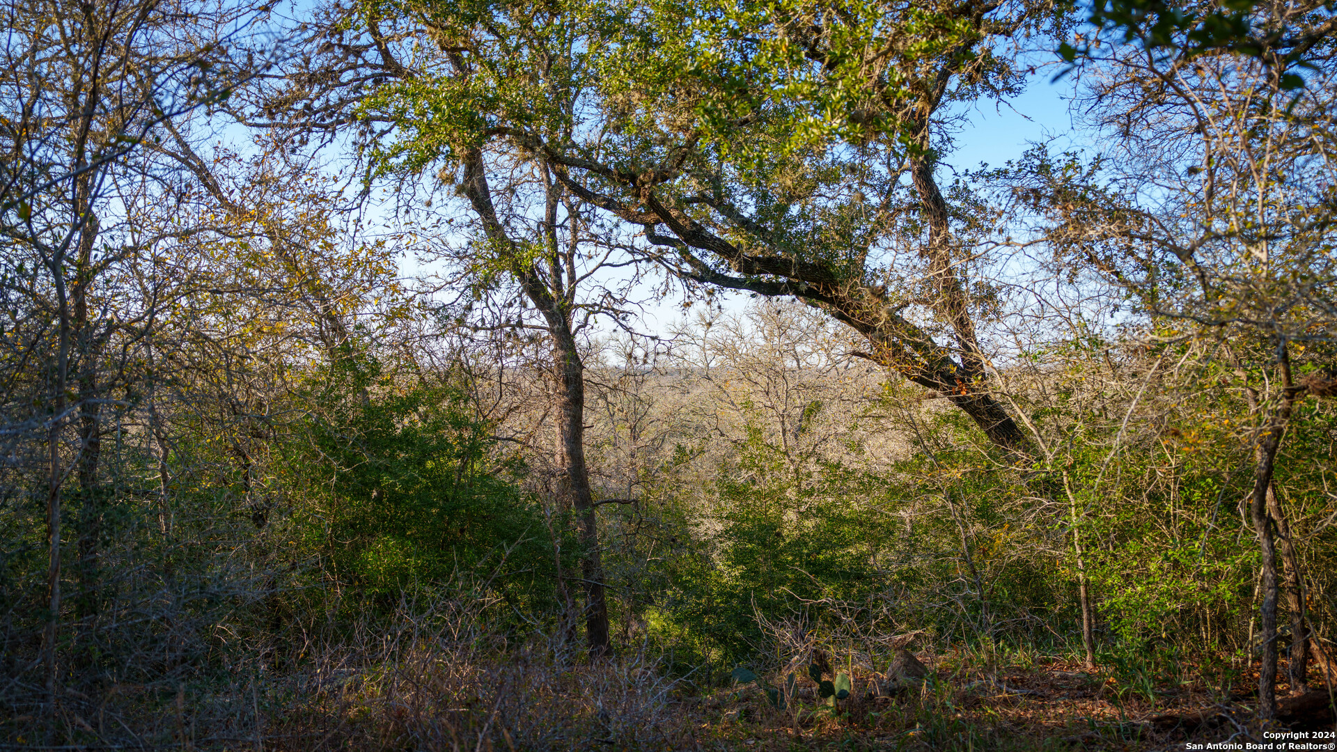 23 +/- ACRES FM 532