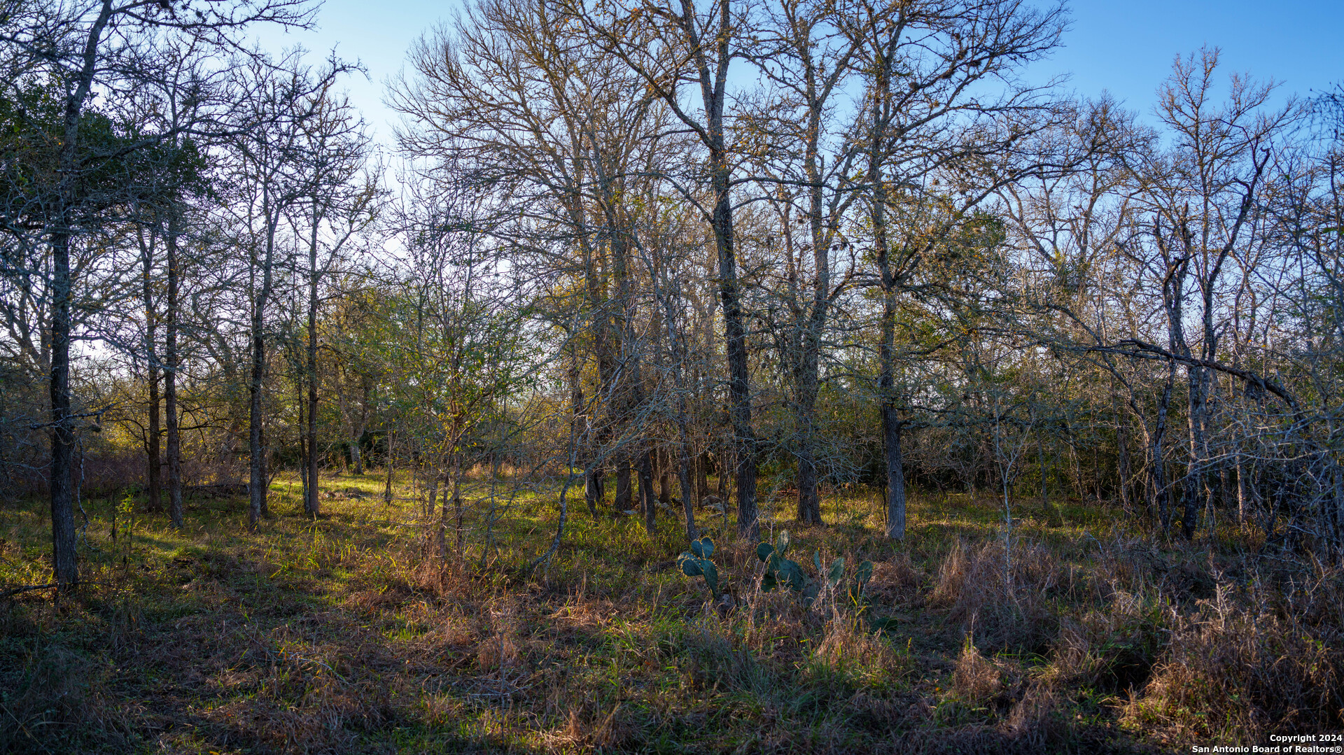 23 +/- ACRES FM 532