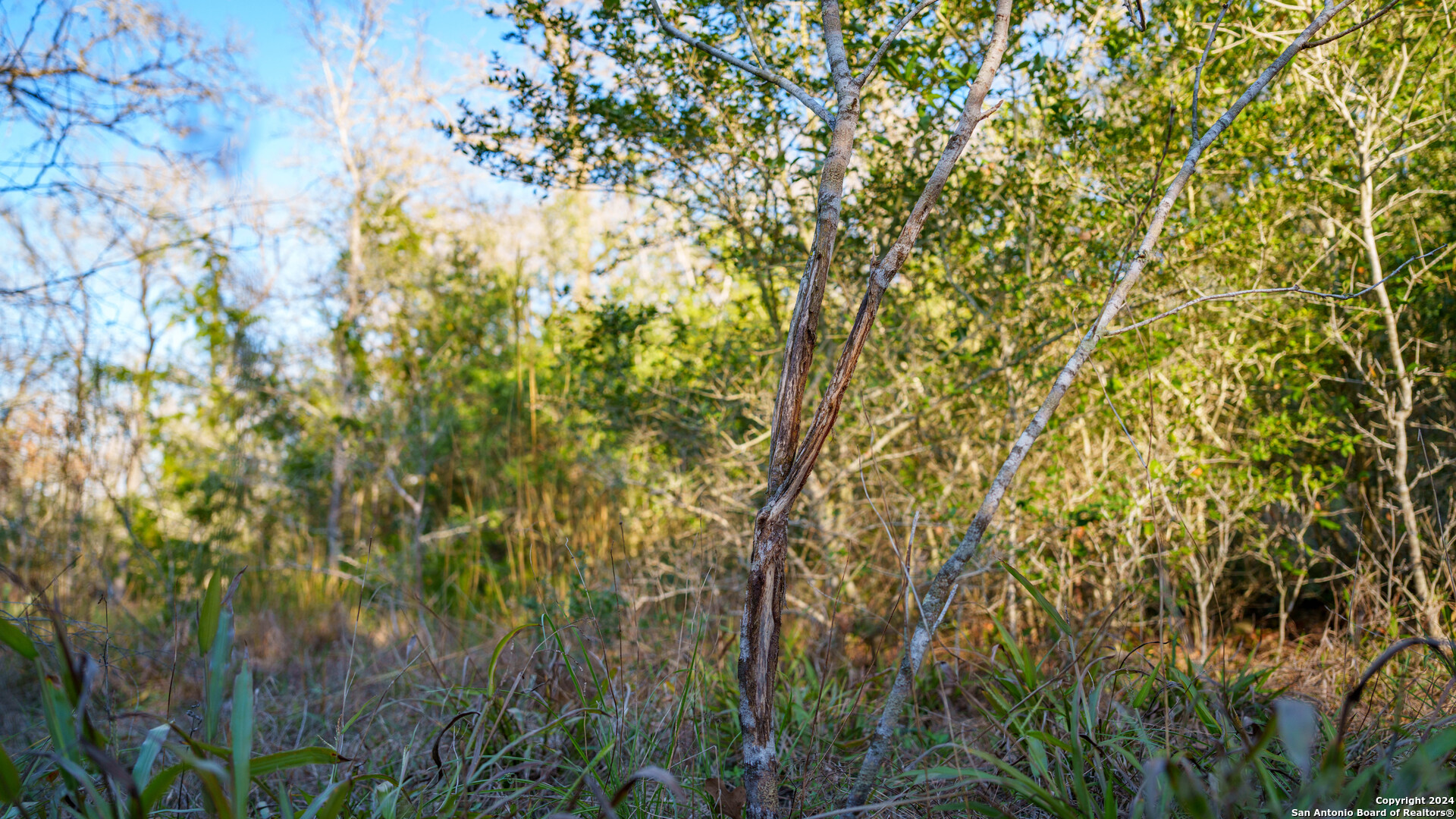 23 +/- ACRES FM 532