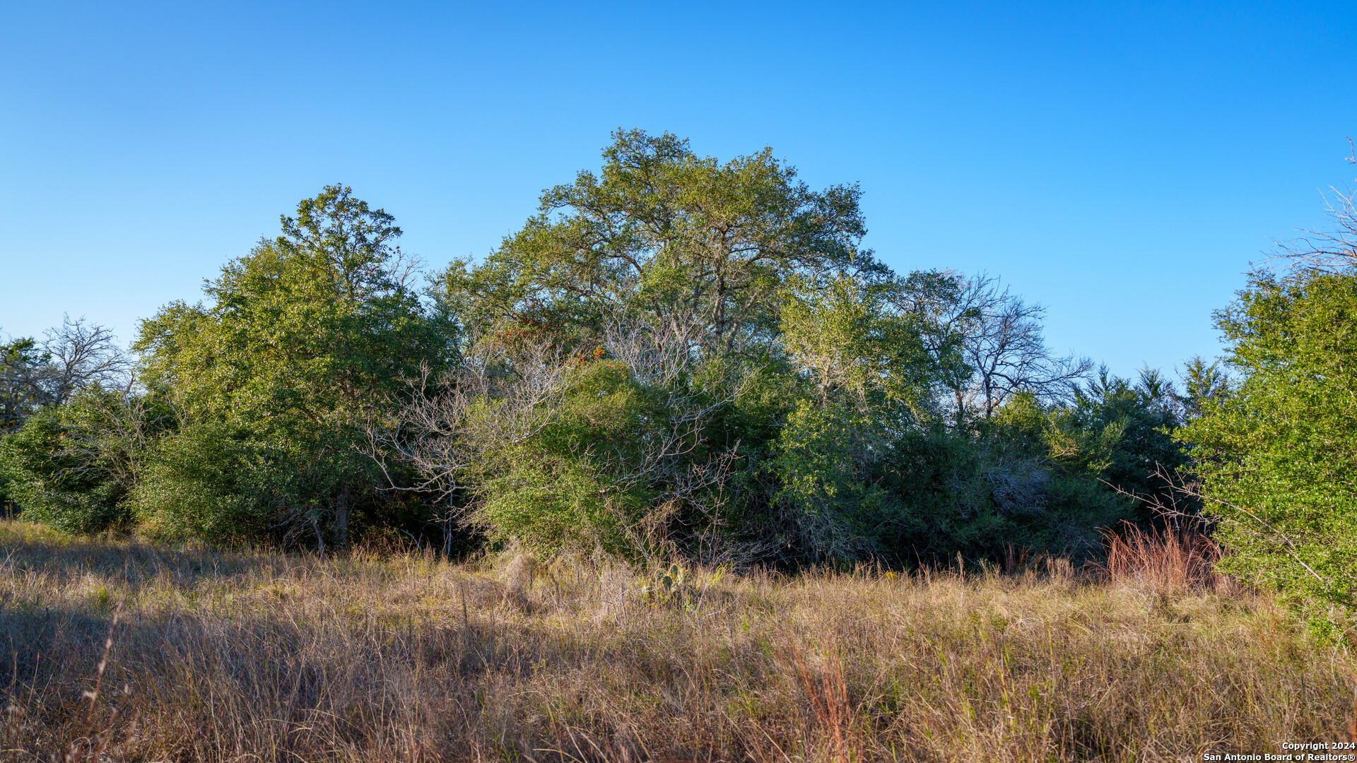 23 +/- ACRES FM 532