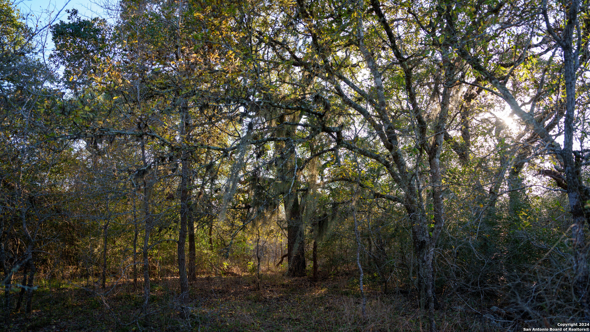 23 +/- ACRES FM 532