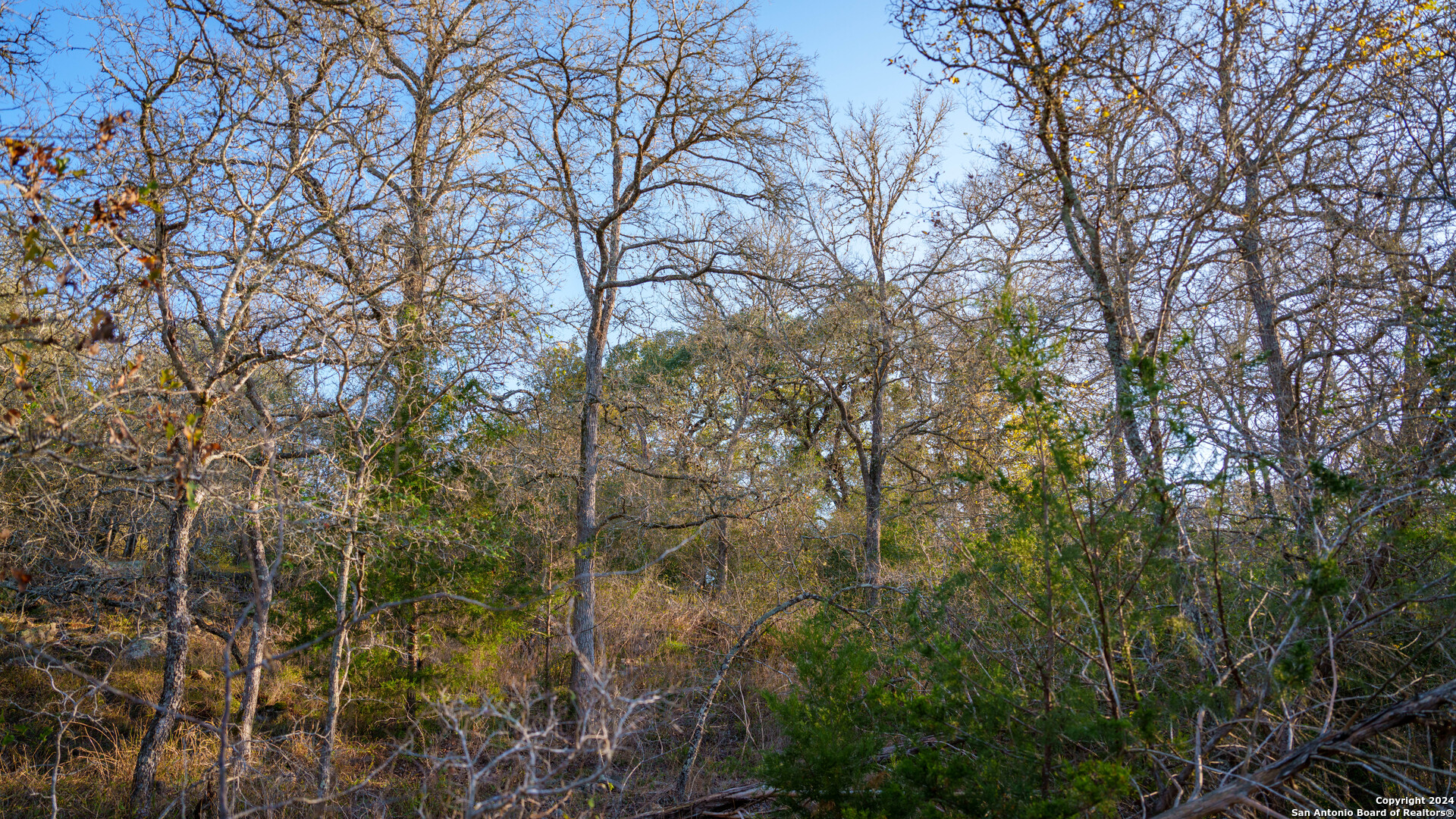 23 +/- ACRES FM 532