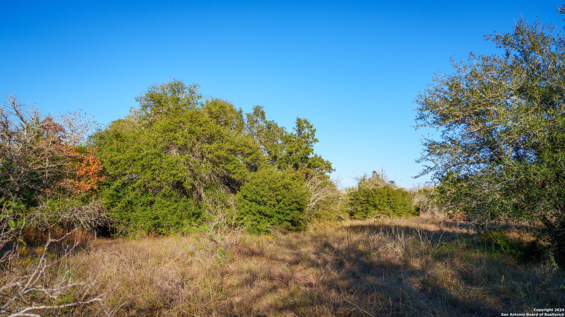 23 +/- ACRES FM 532