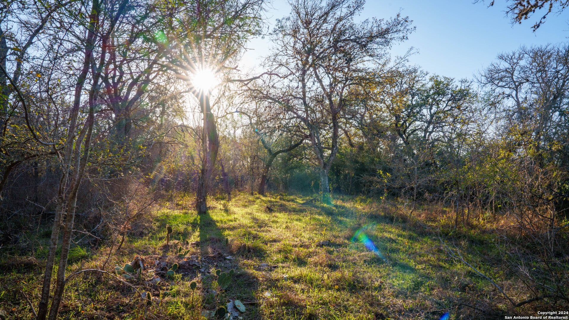 23 +/- ACRES FM 532