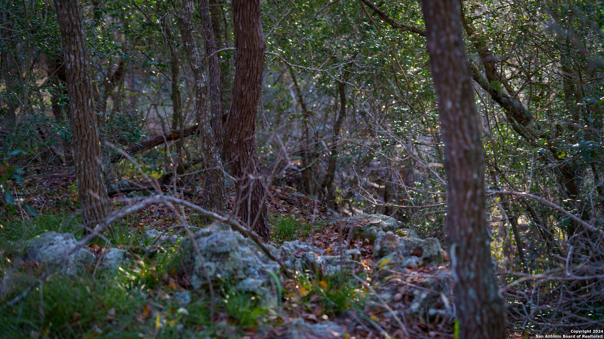 23 +/- ACRES FM 532