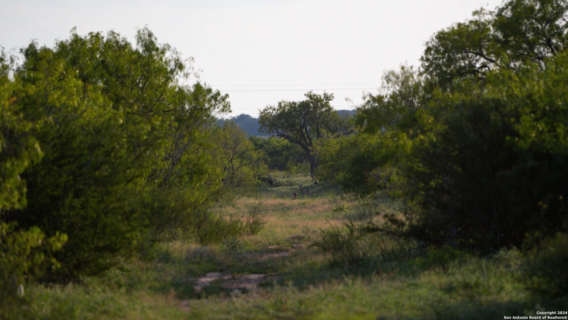 000 Leal Road