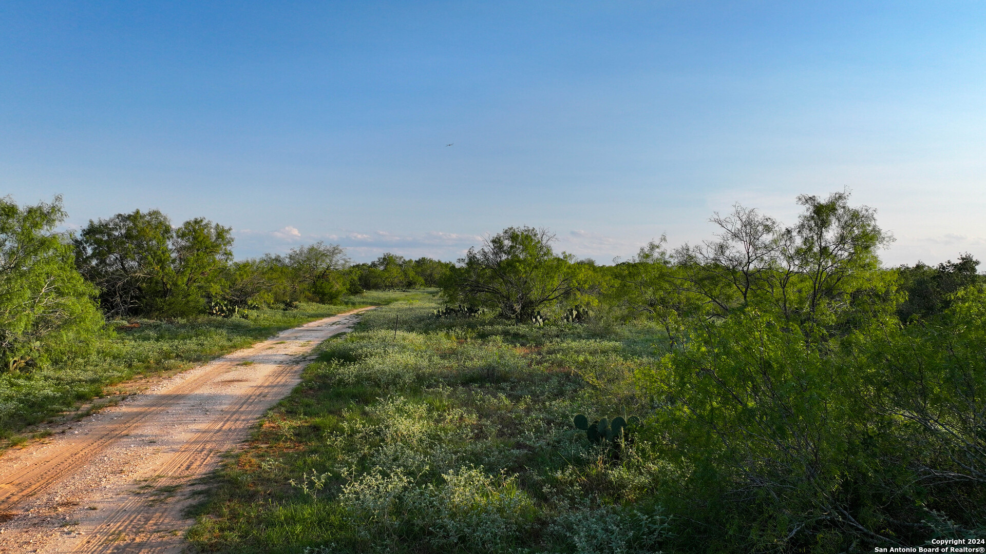 000 Leal Road