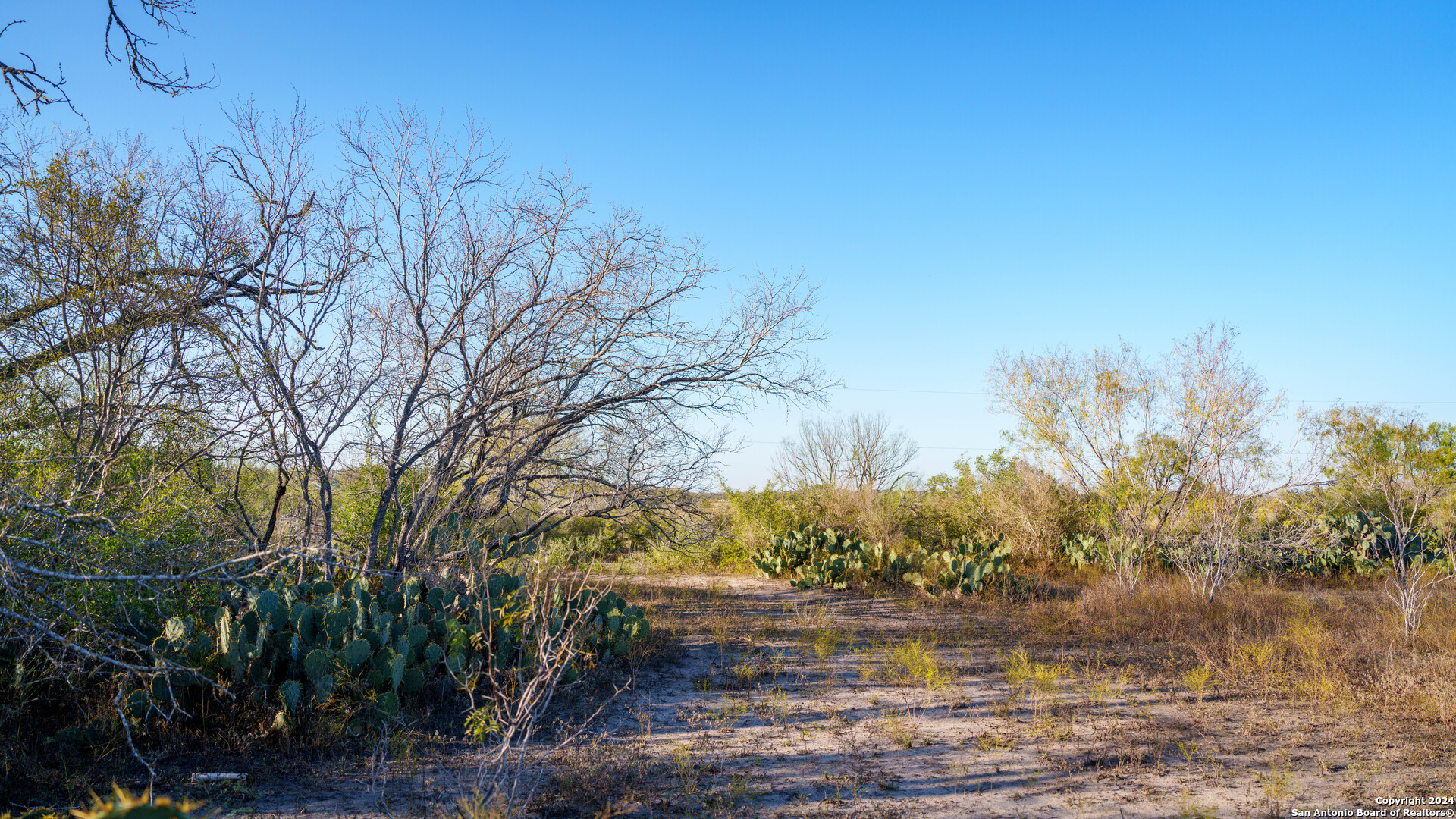 TBD Highway 1604