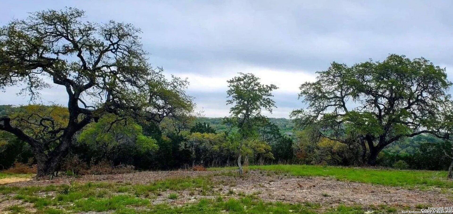 12033 Summer Meadows