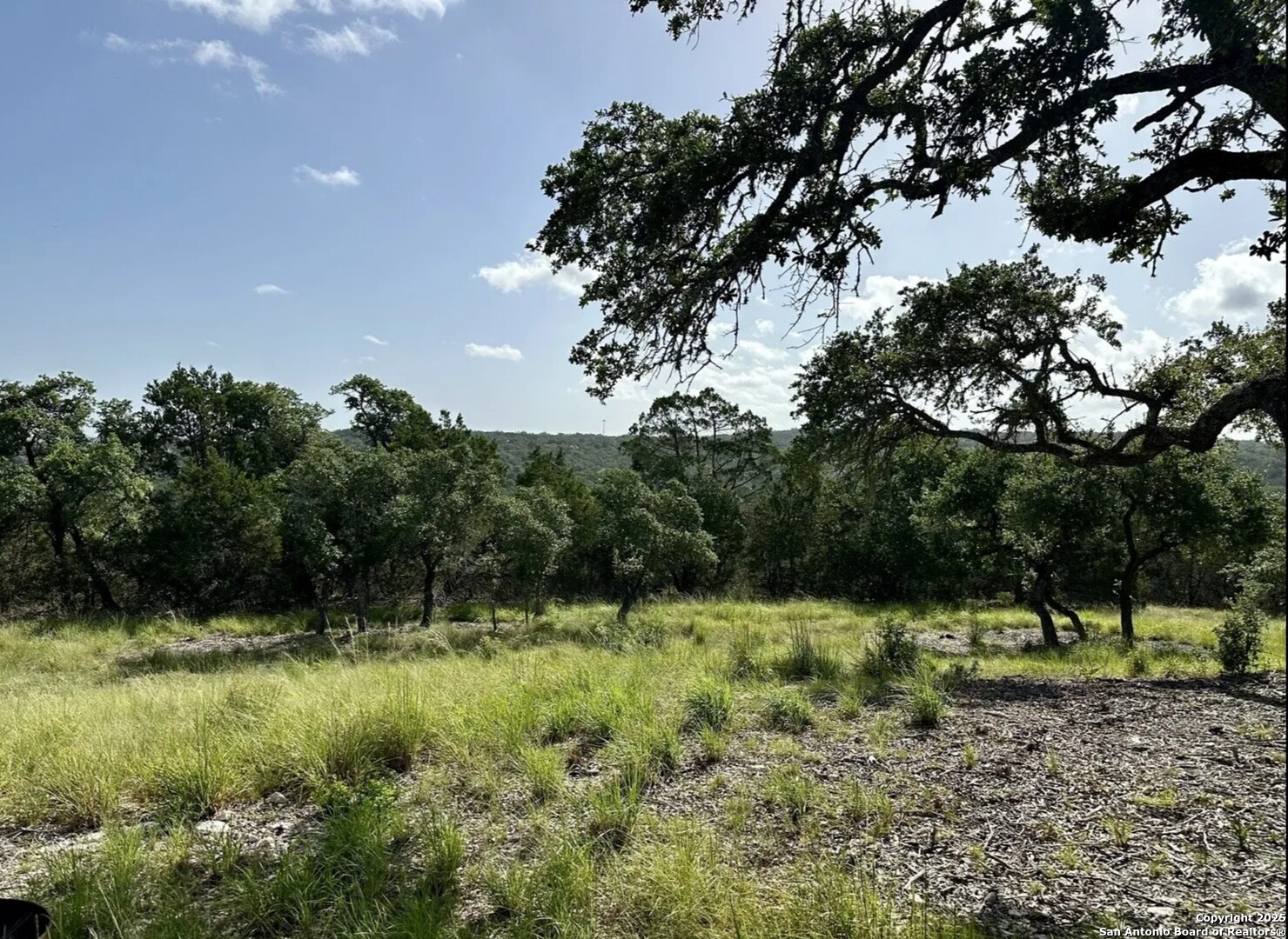 12033 Summer Meadows