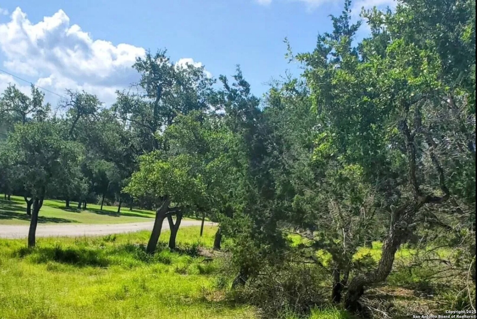 12033 Summer Meadows