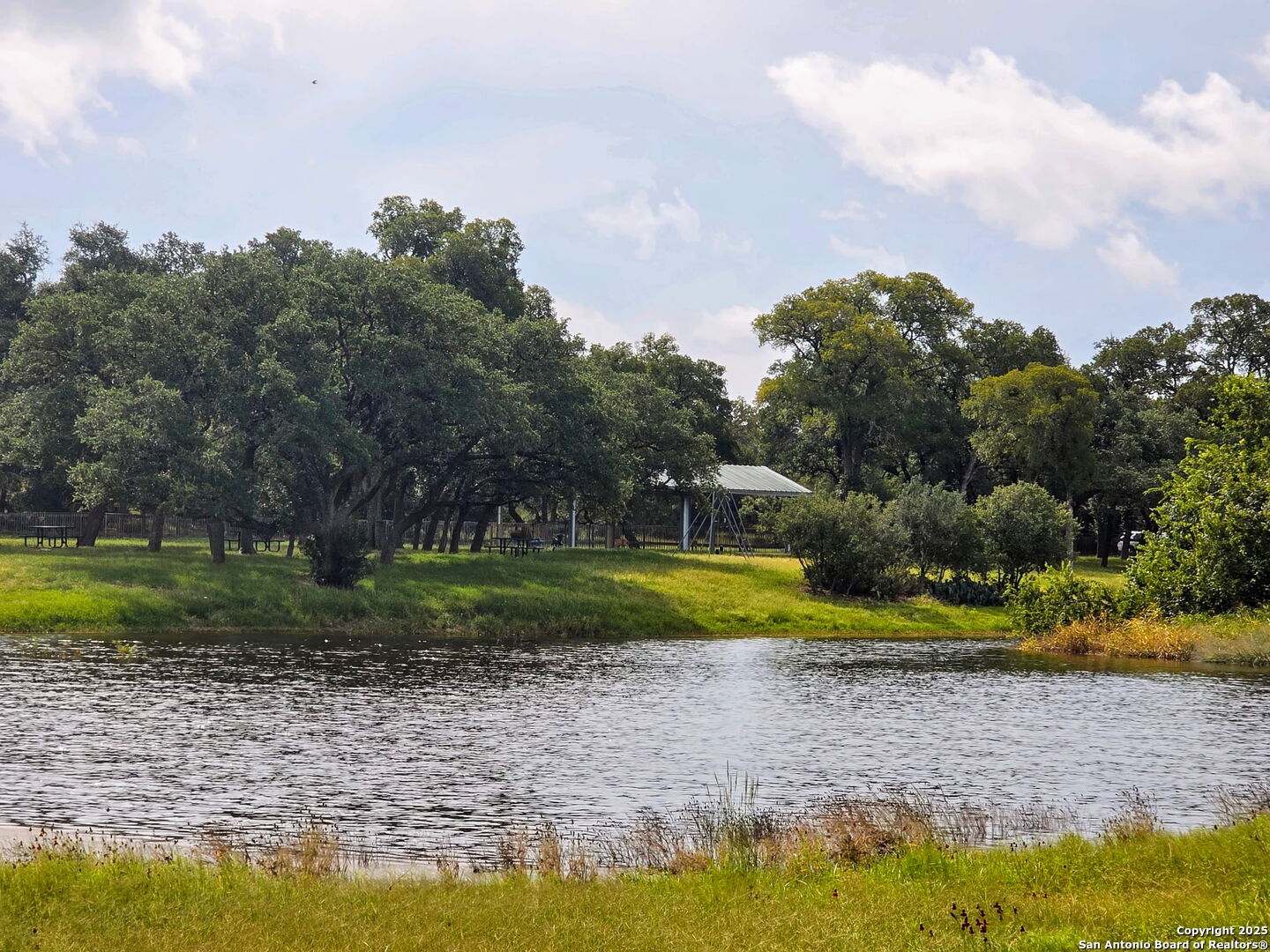 12033 Summer Meadows
