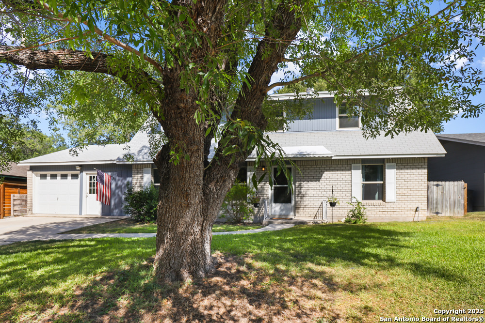11119 Auldine Dr