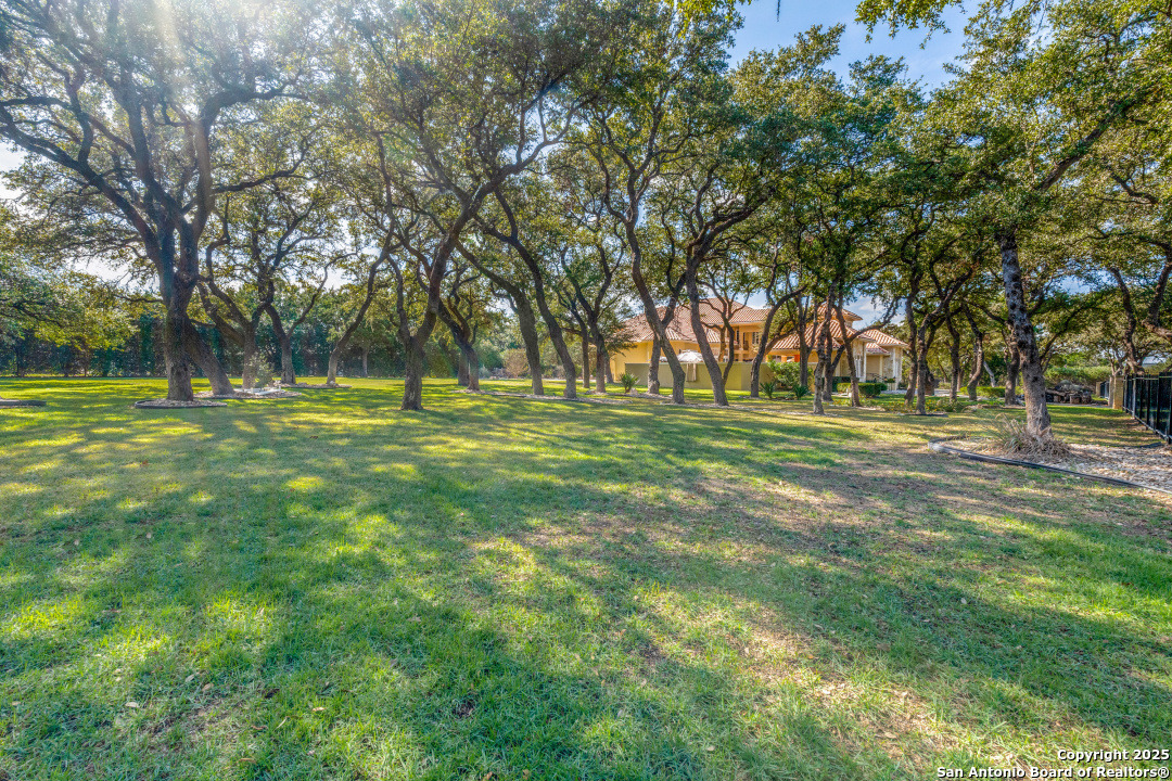 10206 oak forest