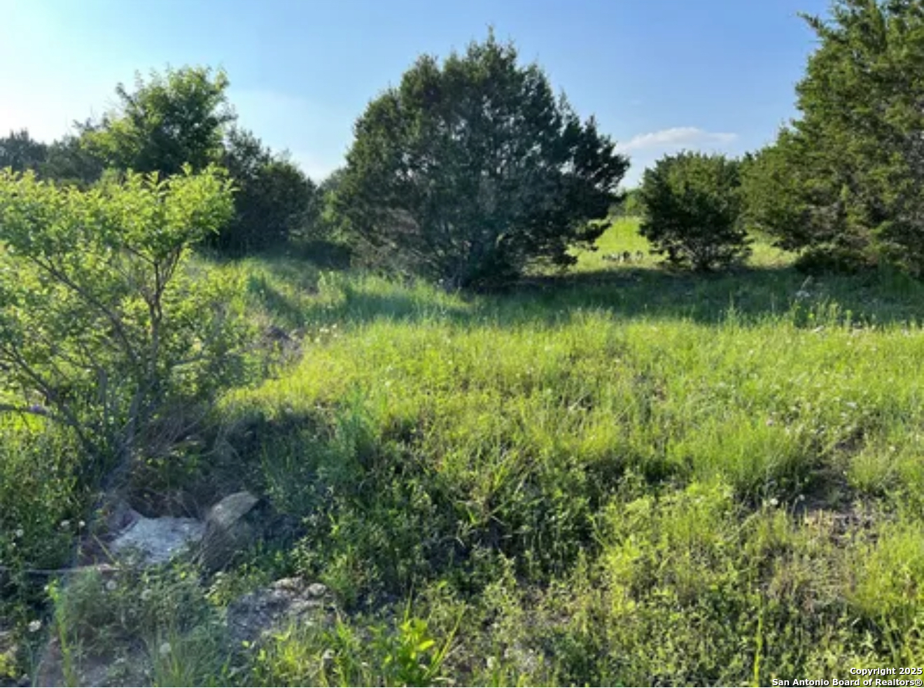 LOT 17 PR 16020