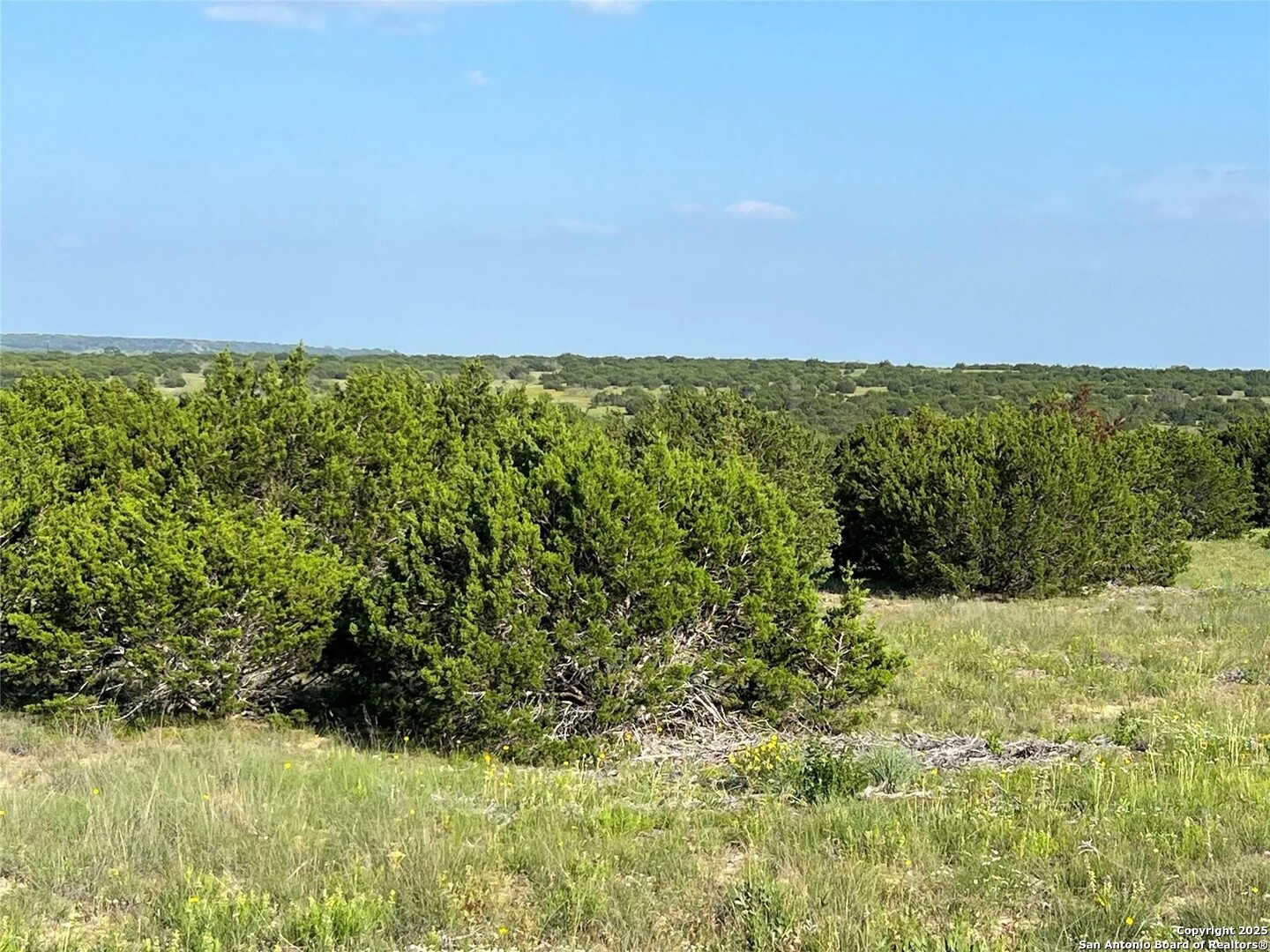 LOT 17 PR 16020