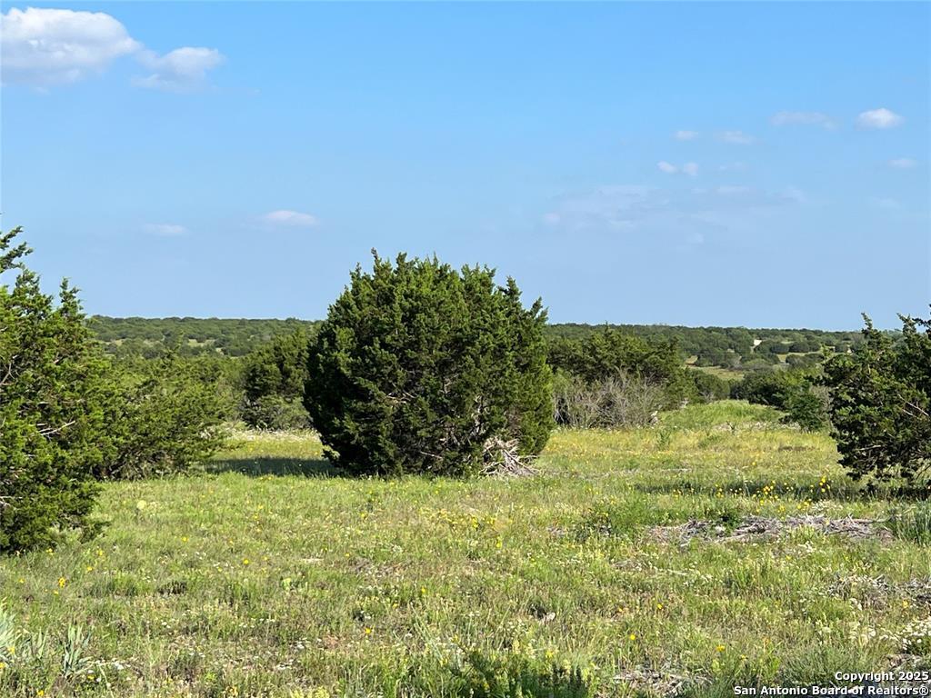 LOT 17 PR 16020