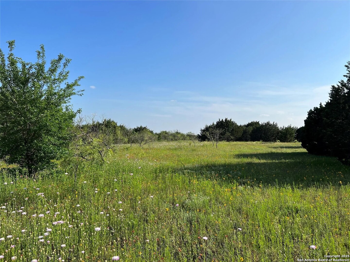 LOT 17 PR 16020