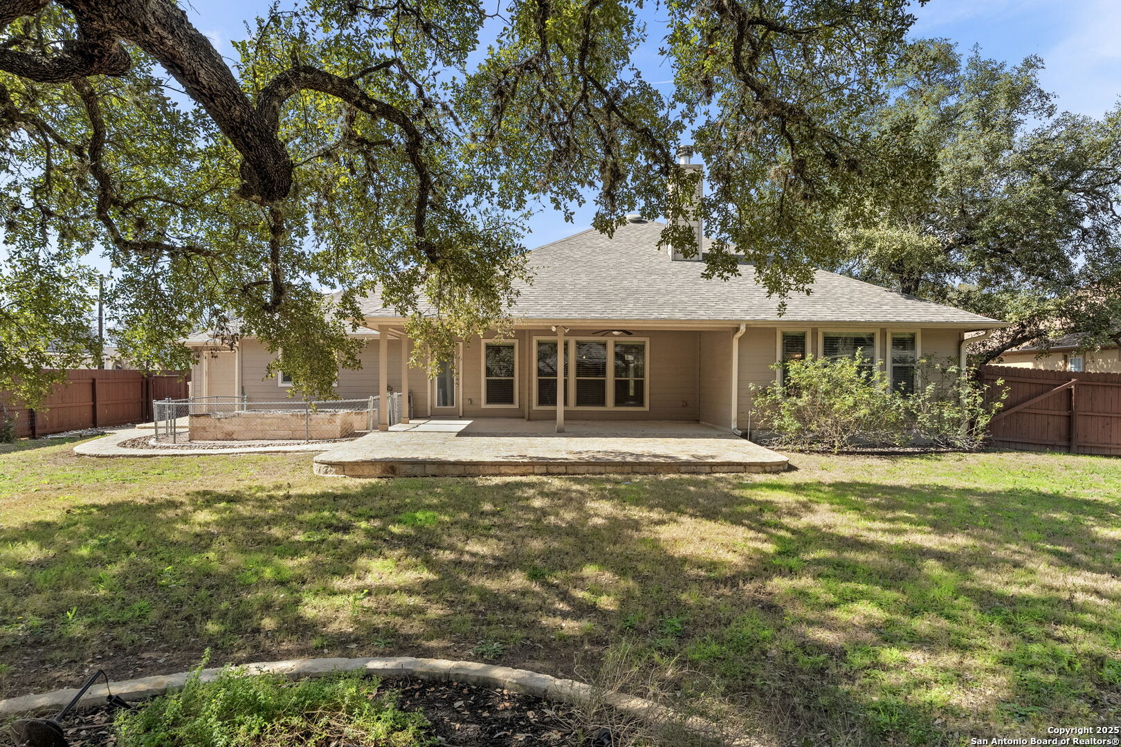 9506 Basket Elm