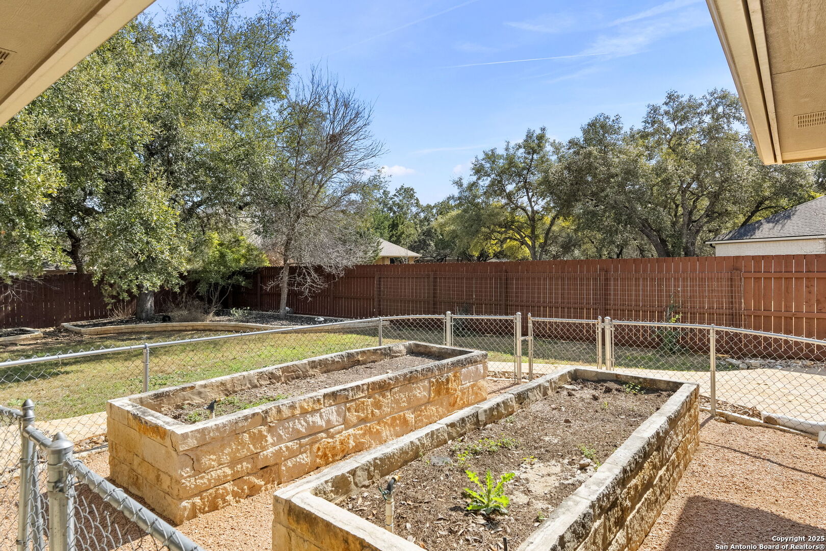 9506 Basket Elm