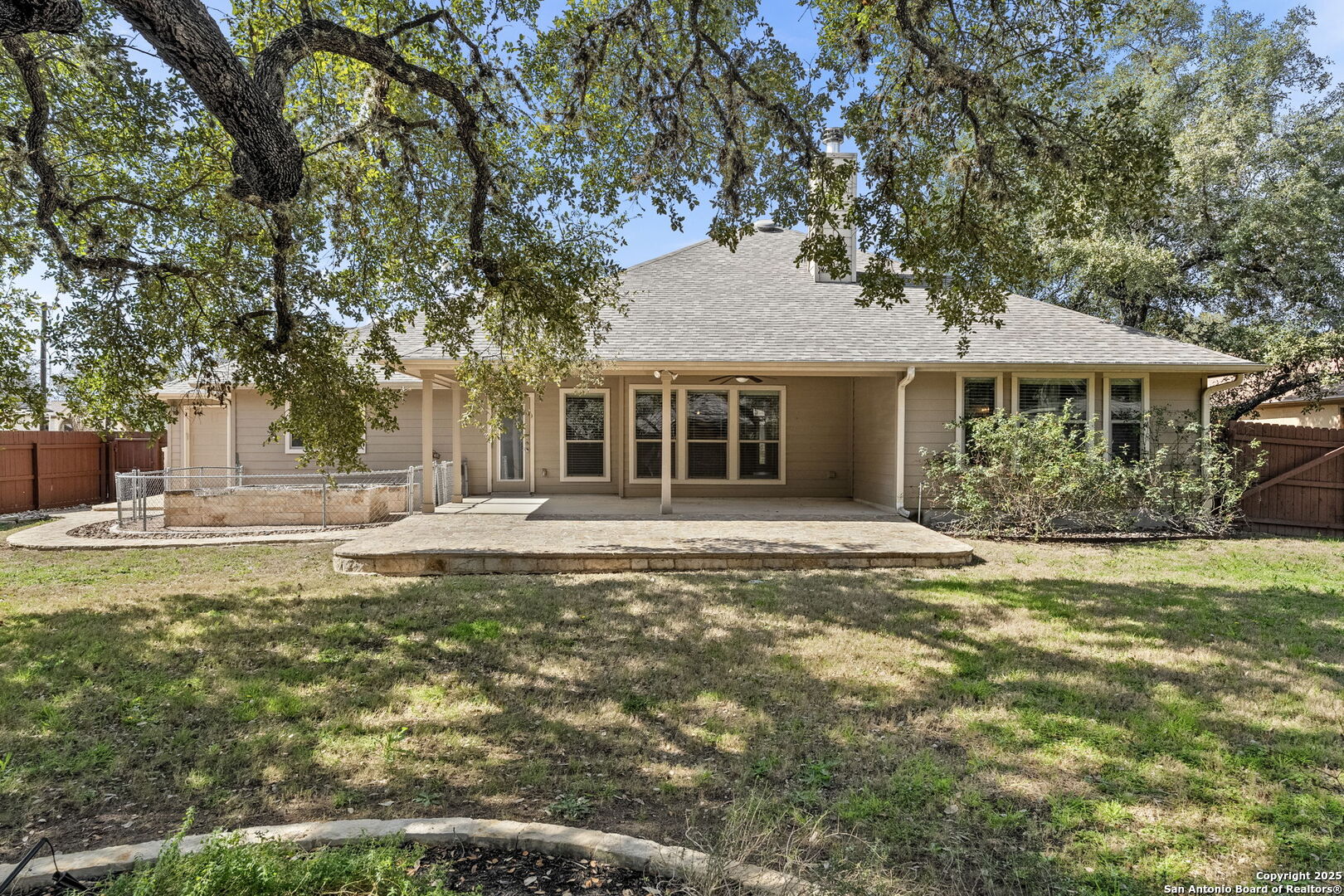 9506 Basket Elm