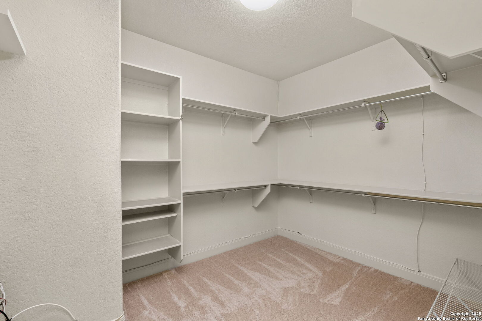 9506 Basket Elm
