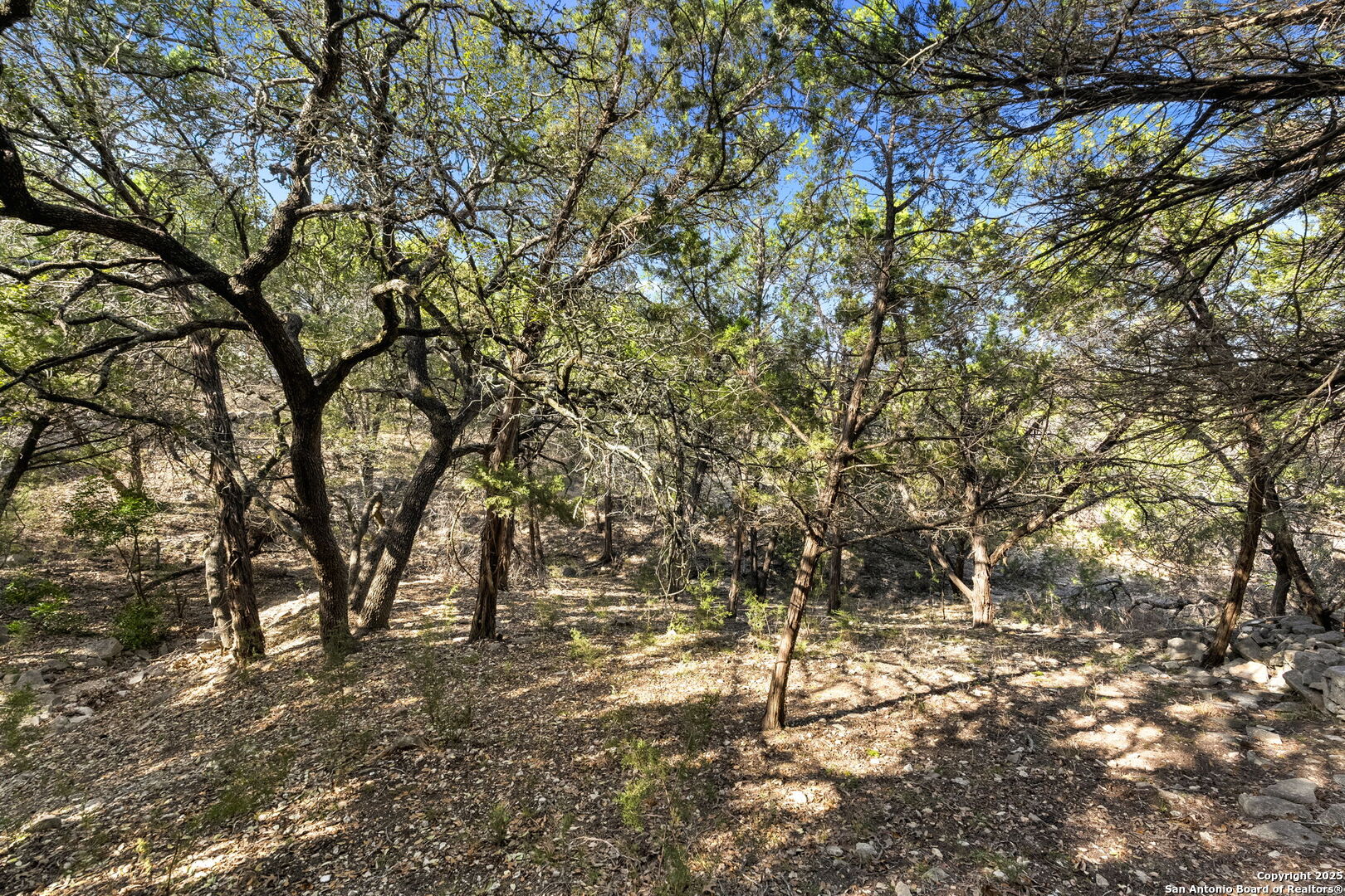 31251 Wildcat Drive