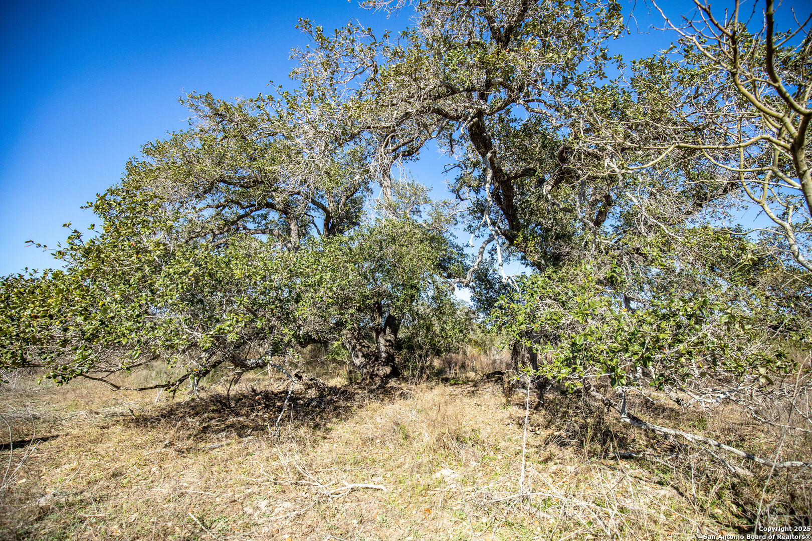 6498 Hwy 35 N