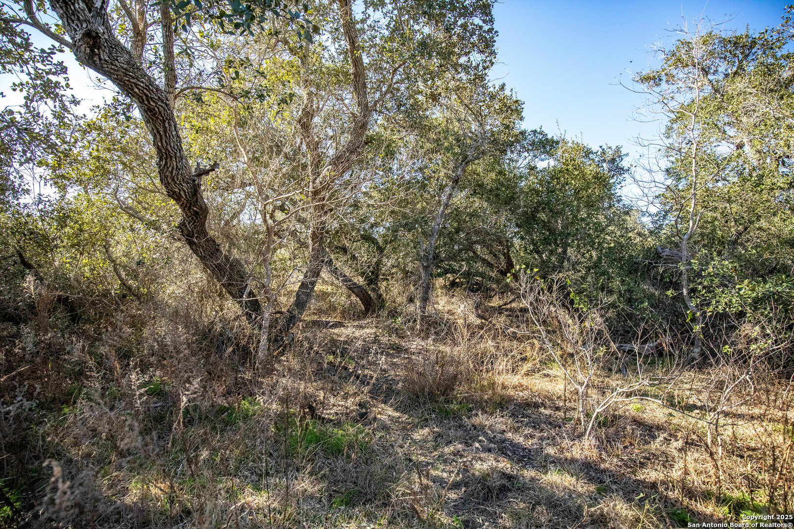 6498 Hwy 35 N