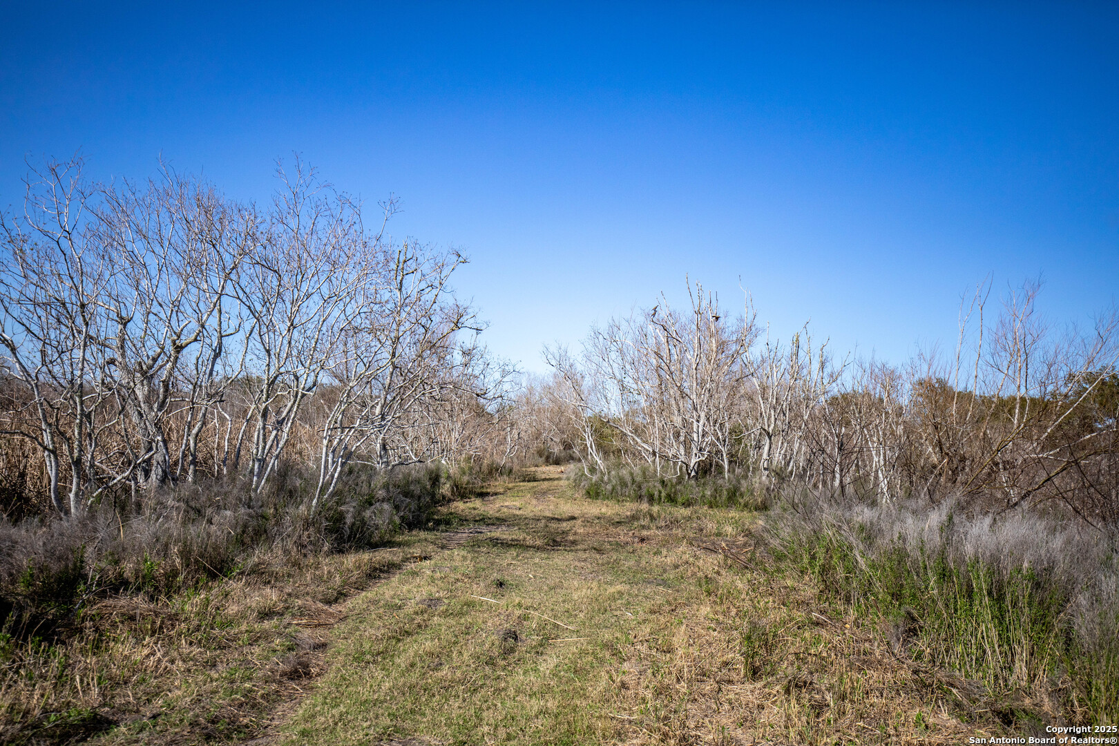 6498 Hwy 35 N