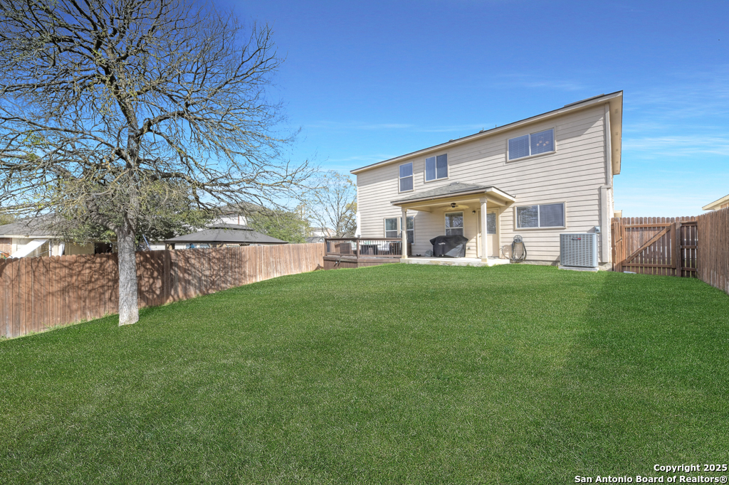 25719 Gold Yarrow