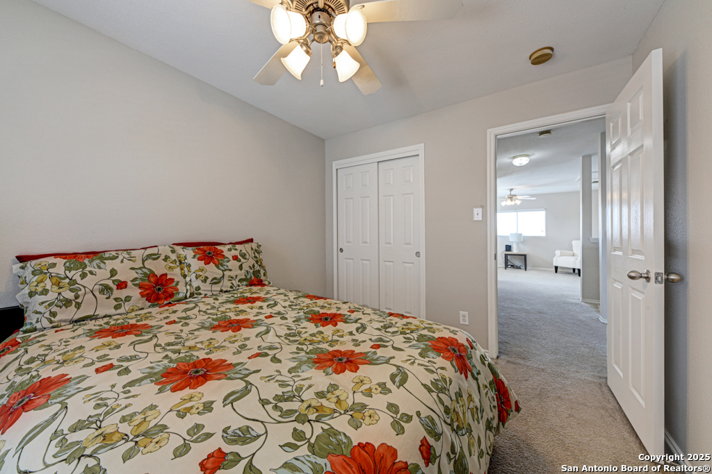 25719 Gold Yarrow