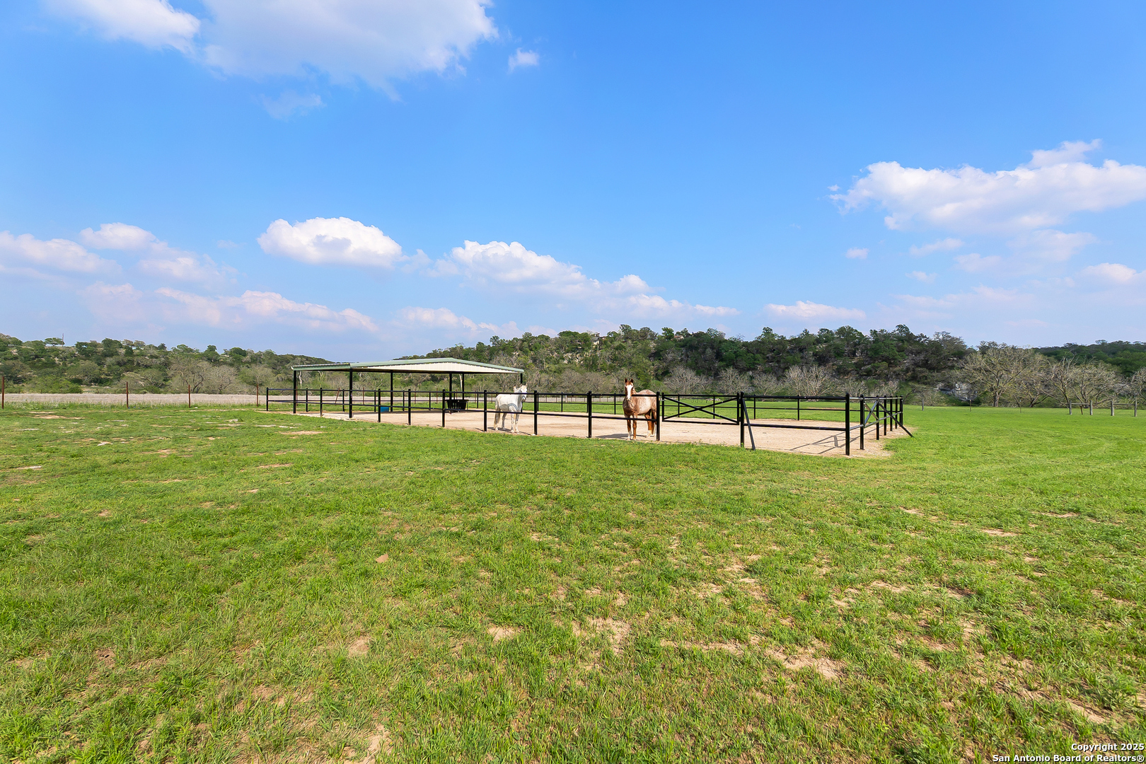 109 Timber View Dr