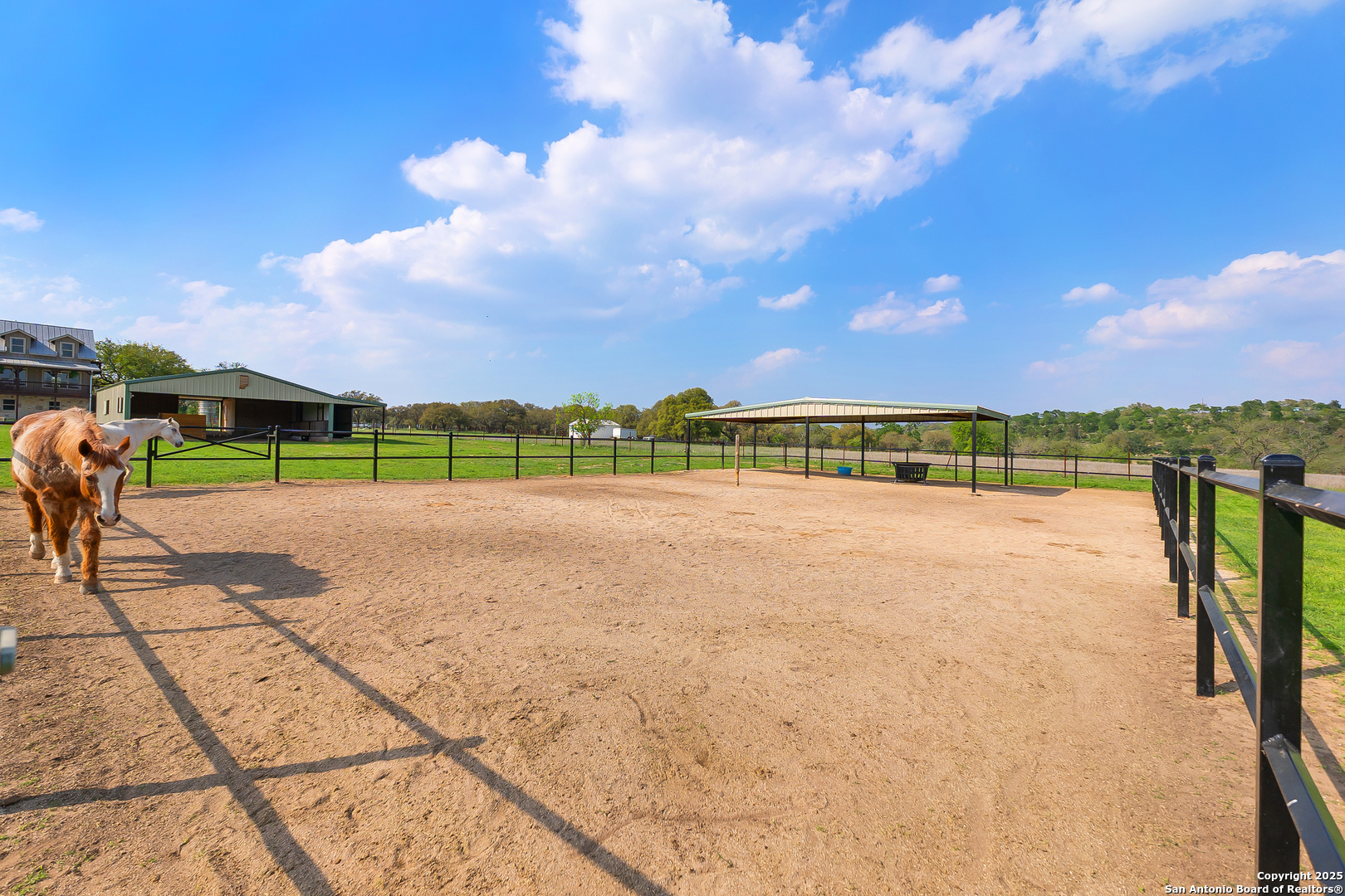 109 Timber View Dr