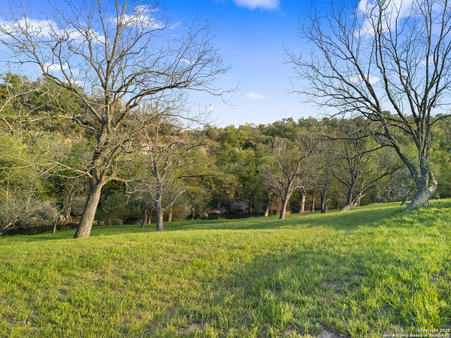 109 Timber View Dr