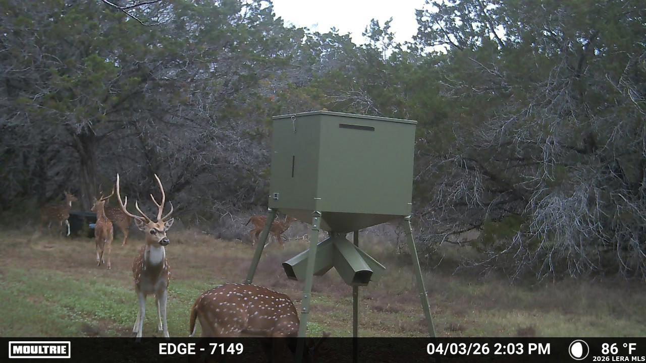 TBD 37 ACRES Elm Pass