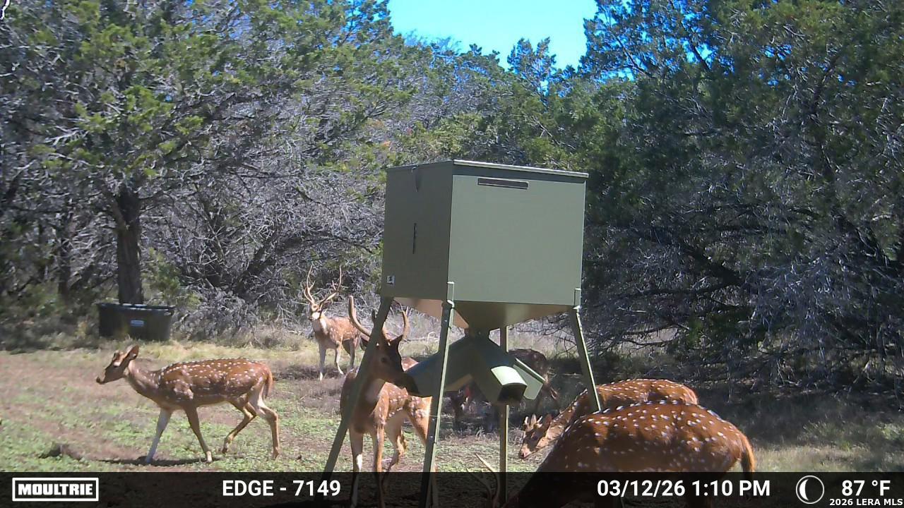 TBD 37 ACRES Elm Pass