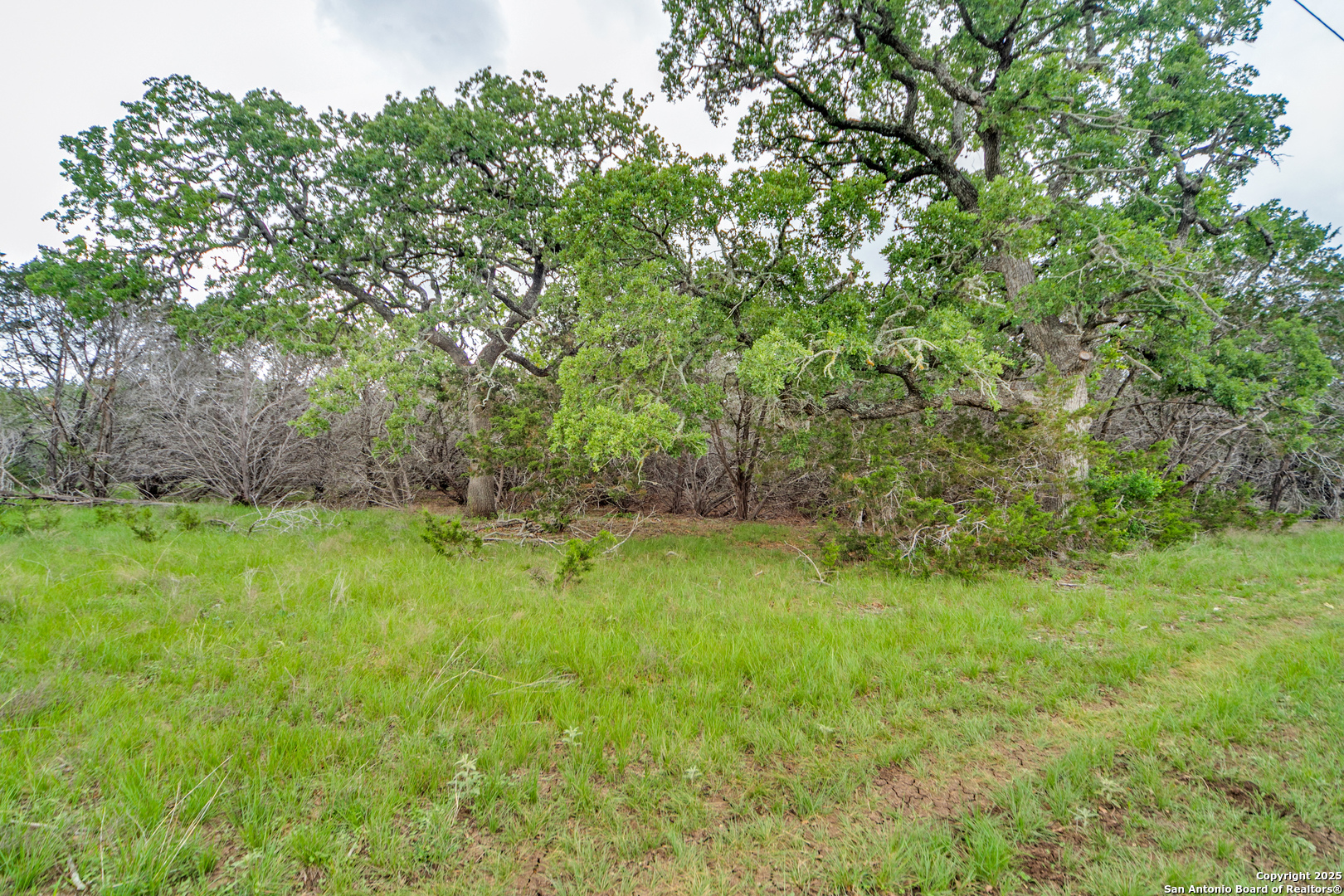 TBD 37 ACRES Elm Pass